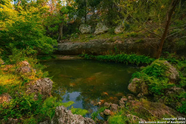 000 Rebecca Creek Ranch, Spring Branch, TX 78070 - Image #1