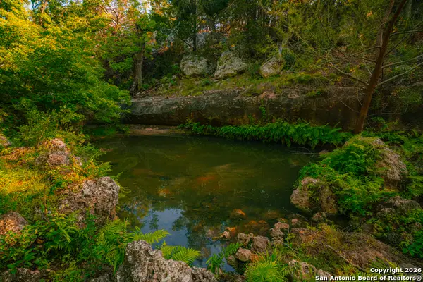 000 Rebecca Creek Ranch, Spring Branch, TX 78070