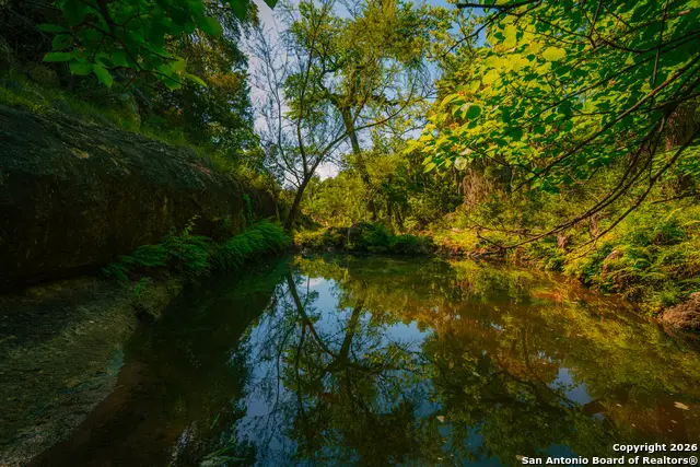 000 Rebecca Creek Ranch, Spring Branch, TX 78070 - Image #3