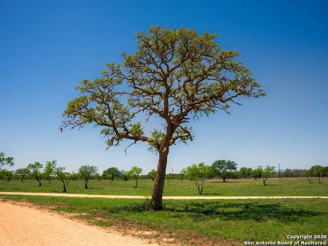 0 Springwood Ranch, Johnson City, TX 78636 - Image #2