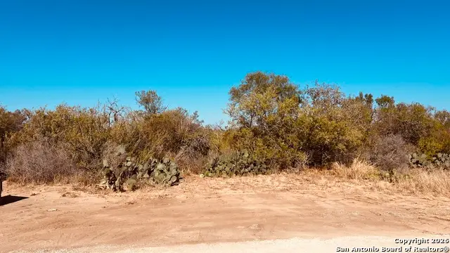 NA Kimberly Lane Lot 55, Poteet, TX 78065 - Image #3