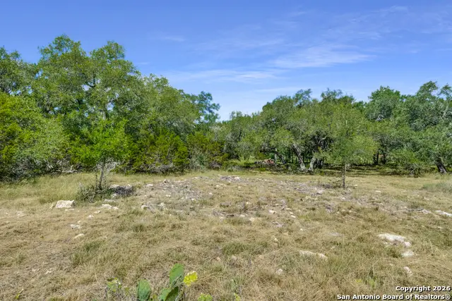 212 S. John Bird, Blanco, TX 78606 - Image #3