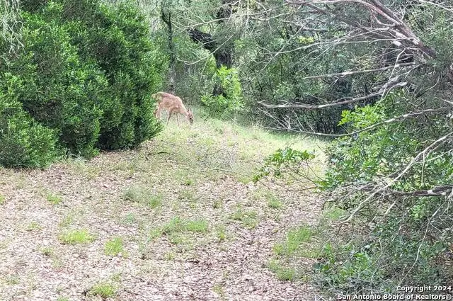 LOT 270 Forest Clfs, San Antonio, TX 78253 - Image #3