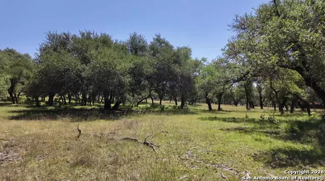 707 Treibs Rd, Fredericksburg, TX 78624 - Image #2