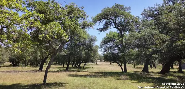 707 Treibs Rd, Fredericksburg, TX 78624 - Image #3