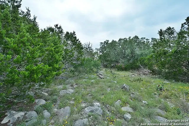 134 E Alex Jordan, Blanco, TX 78606 - Image #3