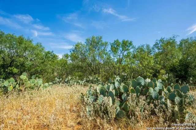 CR 732 Cr, Yancey, TX 78886 - #1