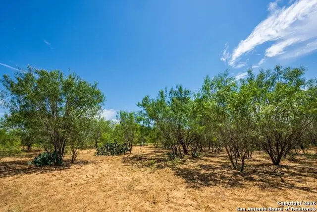 FM2200 2200, Yancey, TX 78886 - #3