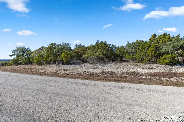 331 Ridge Point, Spring Branch, TX 78070 - #2