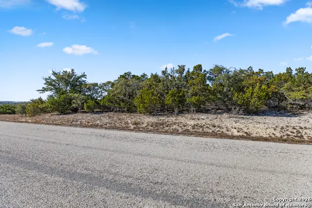 331 Ridge Point, Spring Branch, TX 78070 - #3