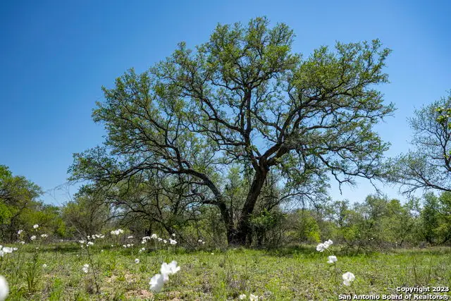 2731 County Road 770, Natalia, TX 78059 - Image #2