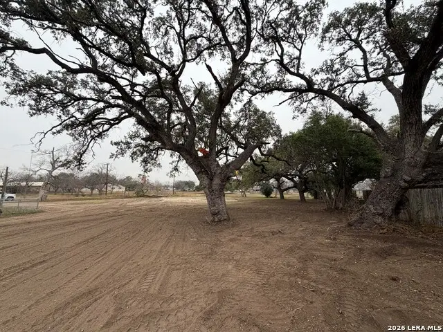 TBD Medina, Lacoste, TX 78039 - Image #2