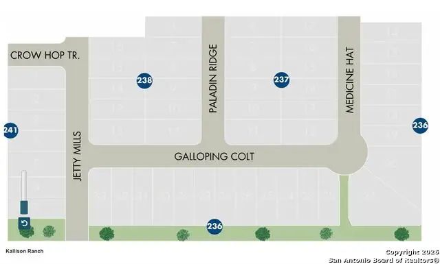 9902 Medicine Hat Blank, San Antonio, TX 78254 - Image #3
