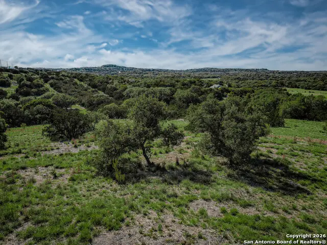 818 Lovett Ridge, Bulverde, TX 78163 - #3