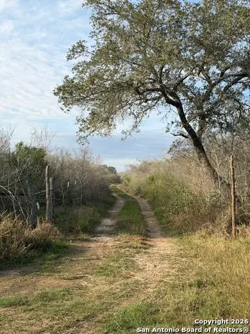 0 Wildhorse Pass, Saint Hedwig, TX 78152 - Image #3