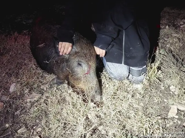 TBD Hegedus Ranch Rd, Rocksprings, TX 78880 - Image #3