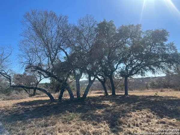 2 Zinfandel, Comfort, TX 78013