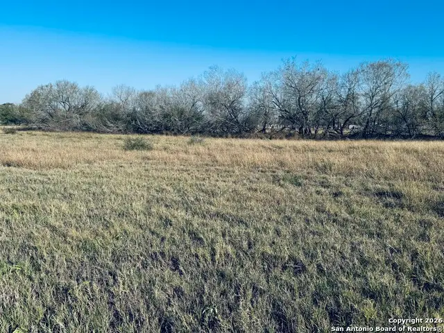 TBD Byrd Rd, Pleasanton, TX 78064 - #3