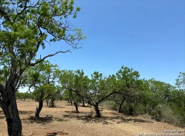 1780 Fm-1358, Three Rivers, TX 78071 - Image #1