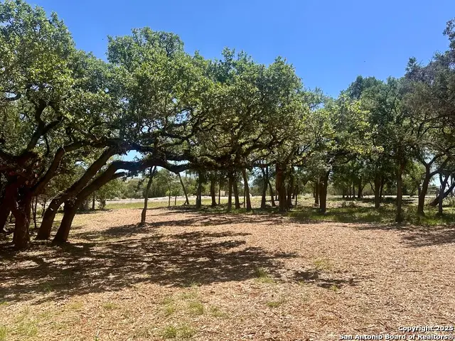 288 Scenic Canyon, New Braunfels, TX 78132 - #1