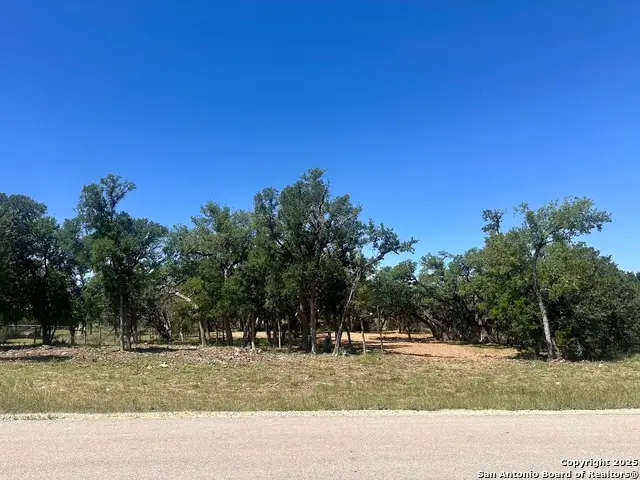 288 Scenic Canyon, New Braunfels, TX 78132 - #2