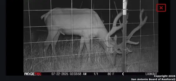 LOT 22 Wild Canyon Ranch, Rocksprings, TX 78880