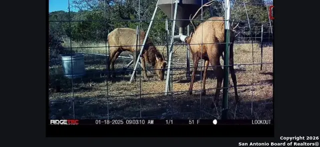 LOT 22 Wild Canyon Ranch, Rocksprings, TX 78880 - Image #2