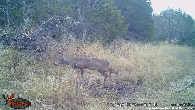 LOT 22 Wild Canyon Ranch, Rocksprings, TX 78880 - Image #3