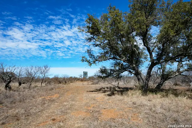 TBD Hickory Grove Road, Mason, TX 76856 - #1