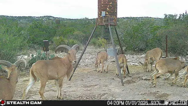 SD63015 Cr630, Rocksprings, TX 78880 - Image #1