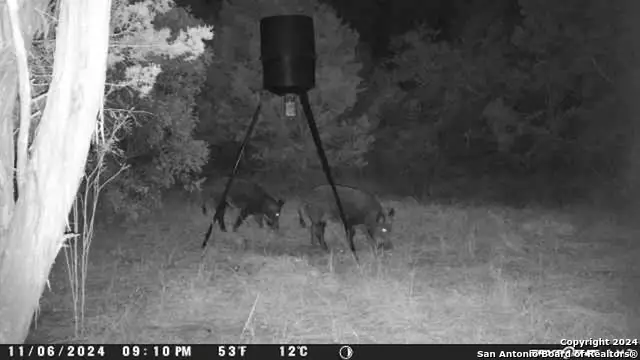 890 County Road 246, Hondo, TX 78861 - Image #2