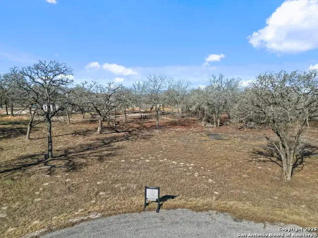 161 Hondo Ridge, La Vernia, TX 78121 - Image #3