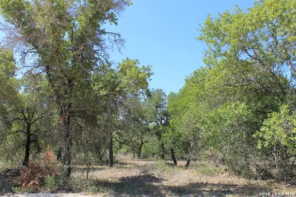 11913 W Fm 476, Somerset, TX 78069