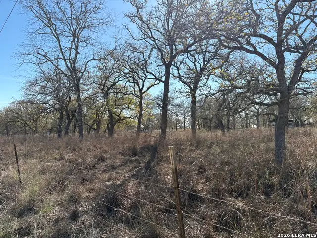 165 Littlehorn Lane, La Vernia, TX 78121 - Image #2