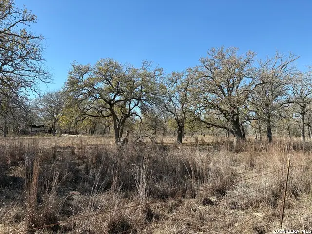 165 Littlehorn Lane, La Vernia, TX 78121 - Image #3
