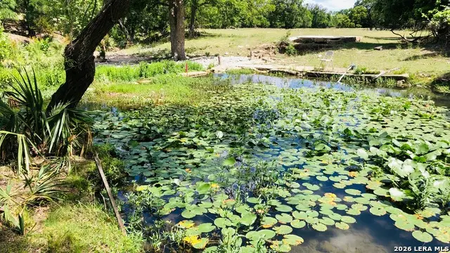 335 Rittimann, Spring Branch, TX 78070 - Image #1