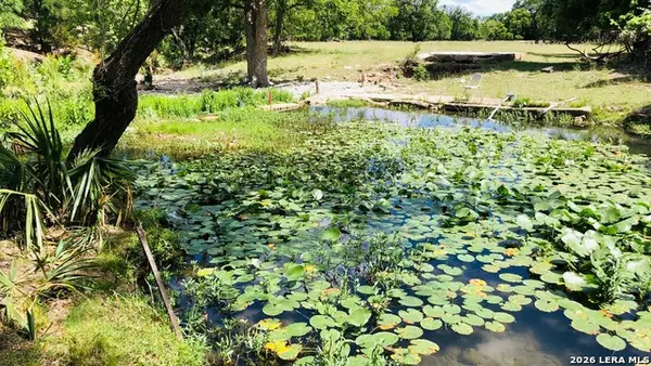 335 Rittimann, Spring Branch, TX 78070