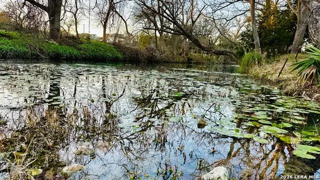 335 Rittimann, Spring Branch, TX 78070 - Image #2