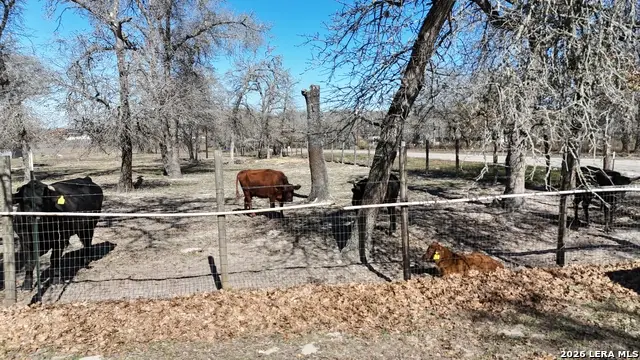 470 Lyon, Seguin, TX 78155 - #3