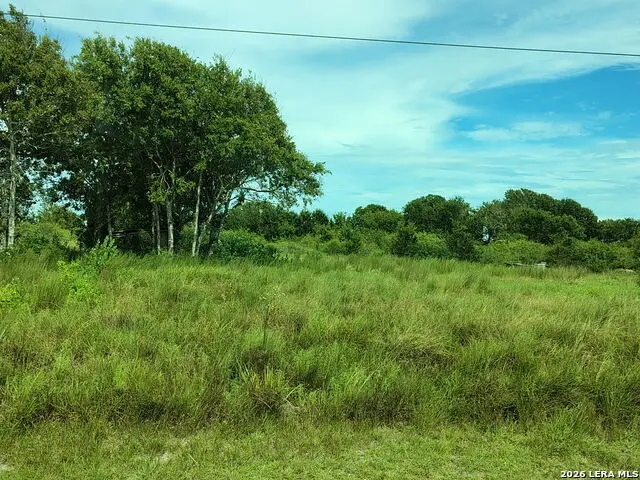 LOT 49 Seabass Dr, Palacios, TX 77465 - #3