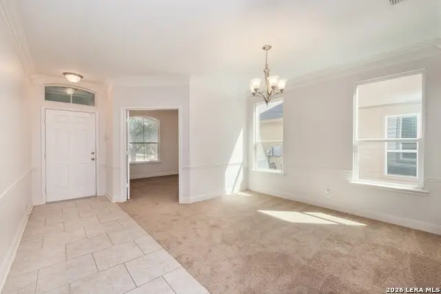 203 Tufted Crest, San Antonio, TX 78253 - Image #2