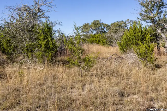 BLOCK 1, LOT 9 Fortunate Son, Boerne, TX 78006 - Image #3