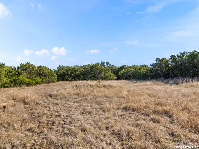 2025 Stagecoach Way, Canyon Lake, TX 78133 - Image #3