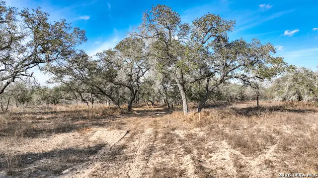 2703 Cr 770, Natalia, TX 78059 - Image #2