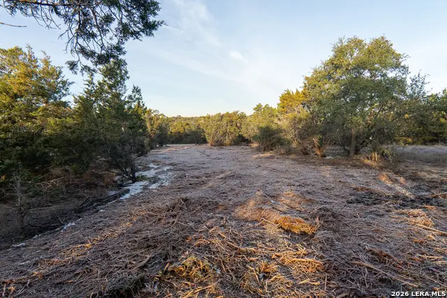 1531 Lake Dr, Spring Branch, TX 78070 - Image #3