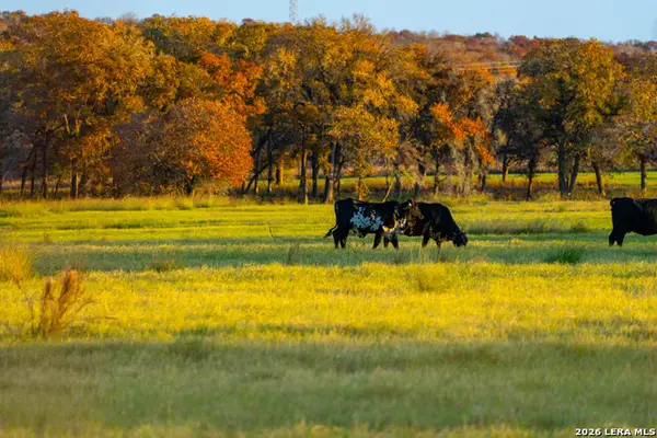 TBD S State Hwy 123, Seguin, TX 78155