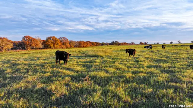 TBD S State Hwy 123, Seguin, TX 78155 - Image #2