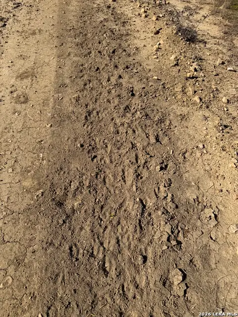 TBD Cr 2537/moore Hollow Road, Moore, TX 78057 - Image #3