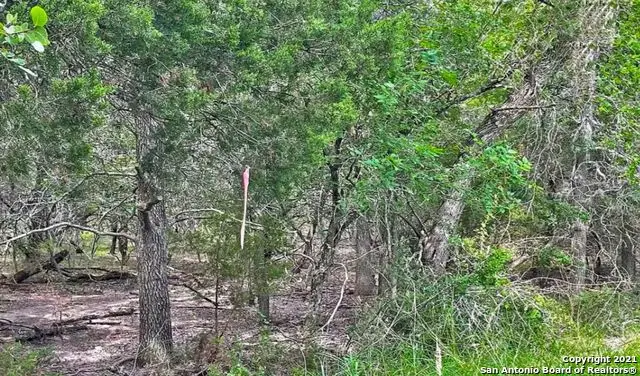 LOT 1&2 Cibolo Ln, Selma, TX 78108 - Image #3