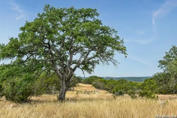 07 E Bison Way, Harper, TX 78631